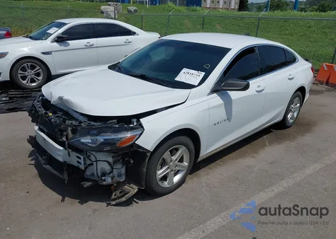 2019 Chevrolet Malibu 1Ls z USA, uszkodzony, nr VIN 1G1ZB5ST0KF198593